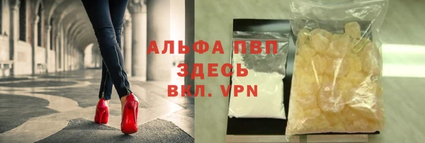 PSILOCYBIN Новокубанск