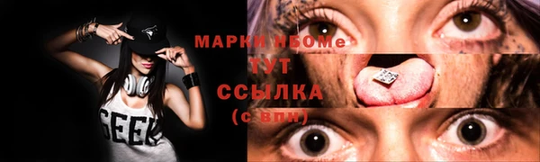 амф Новодвинск