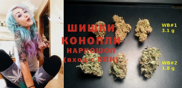 амф Новодвинск
