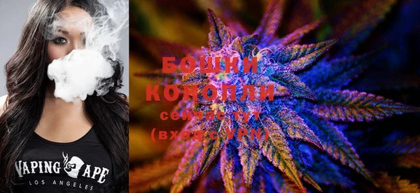 PSILOCYBIN Новокубанск