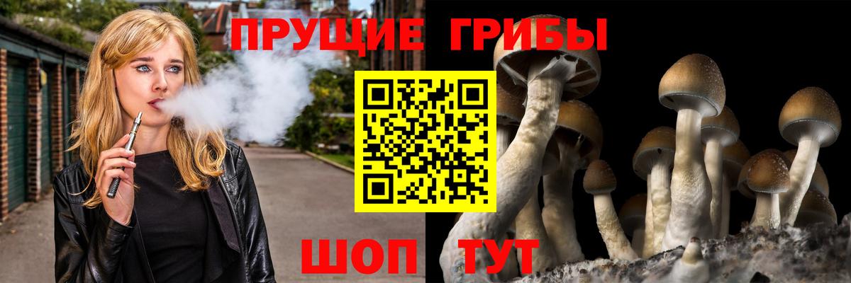 Галлюциногенные грибы GOLDEN TEACHER  цена наркотик  Находка  Вход с VPN 